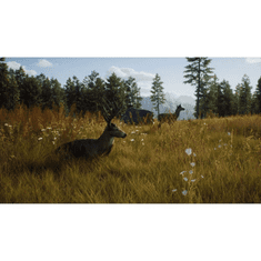 THQ Way of the Hunter (Xbox Series X|S - Dobozos játék)