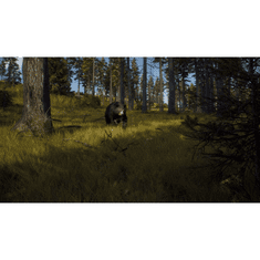 THQ Way of the Hunter (Xbox Series X|S - Dobozos játék)