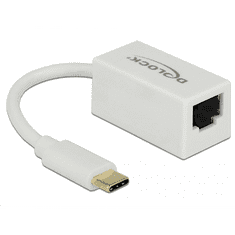 DELOCK 65906 USB Type-C > Gigabit LAN átalakító, kompakt, fehér (65906)