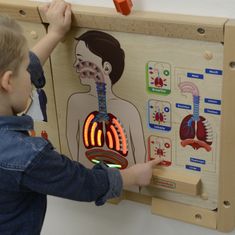 Masterkidz Montessori légzőrendszer oktatási tábla