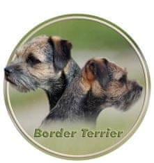 saxun Matrica autóra Border terrier