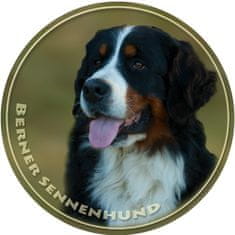 saxun Matrica autóra Berni pásztorkutya - Bernese Mountain Dog