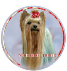 saxun Matrica autóra Yorkshire terrier