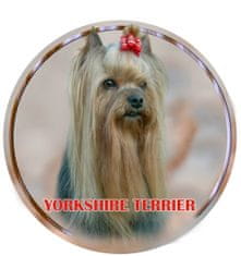 saxun Matrica autóra Yorkshire terrier