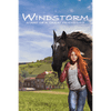 Mindscape Windstorm: Start of a Great Friendship (PC - Steam elektronikus játék licensz)