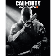 Activision Call of Duty: Black Ops II (PC - Steam elektronikus játék licensz)