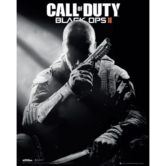 Activision Call of Duty: Black Ops II (PC - Steam elektronikus játék licensz)