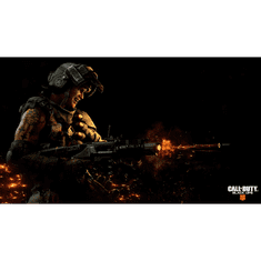 Activision Call of Duty: Black Ops 4 (PC - Battle.net elektronikus játék licensz)