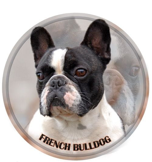 saxun Matrica autóra Francia bulldog