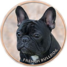 saxun Matrica autóra Francia bulldog