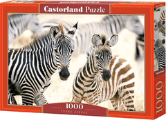Castorland Puzzle Fiatal zebrák 1000 darab
