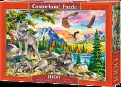 Castorland Puzzle Wolf család 1000 db
