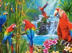 Castorland Rejtvény Papagájok találkozása 2000 db