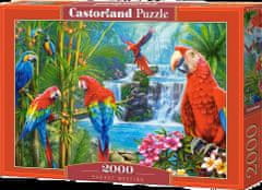 Castorland Rejtvény Papagájok találkozása 2000 db