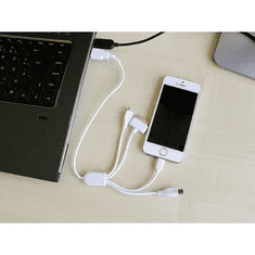 EUFAB Apple iPhone USB töltőkábel, adatkábel (30 pólusú, Lightning, Mini B, Micro B csatlakozókkal) 16494 (16494)