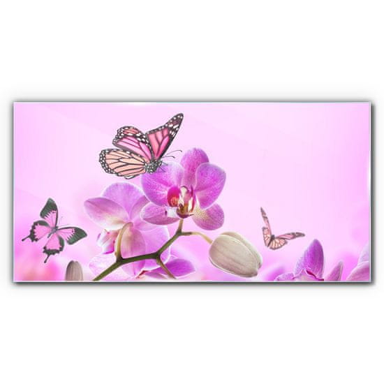 COLORAY.HU Üvegkép Virágok természet pillangó