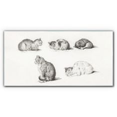 COLORAY.HU Üvegkép A macskaállatok rajza 120x60 cm