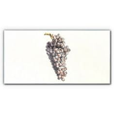 COLORAY.HU Üvegkép A szőlő gyümölcse 100x50 cm