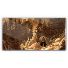 COLORAY.HU Üvegkép Vadvilág hegyi medve 120x60 cm