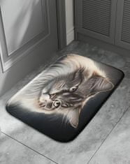 EXCELLENT Csúszásgátló macska szőnyeg 40x60 cm - perzsa macska