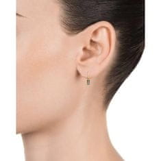 Viceroy Karika aranyozott fülbevaló medálokkal Trend 13128E100-39