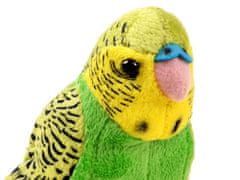 JOKOMISIADA  Zöld hullámos papagáj kabalája 13cm 13847