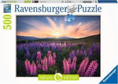 Ravensburger Csillagfürt puzzle 500 darab