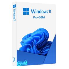 Microsoft Windows 11 Professional OEM FQC-10537 elektronikus licenc