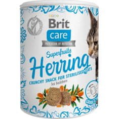 Brit Care Cat Snack Superfruits Hering 100 g