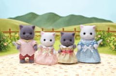 Perzsa cica család