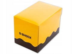 CASIO G-SHOCK DW-5600SLC-9ER (322)