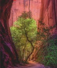 Heye Puzzle A természet ereje: Éneklő kanyon 1000 darab