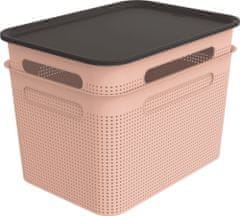 Rotho készlet doboz + fedél BRISEN 2×16 l, rózsaszín