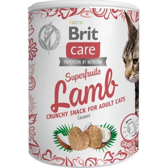 Brit Care Cat Snack Superfruits bárány 100 g