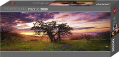 Heye Panorámás puzzle Oak, Columbia Hills State Park 2000 db