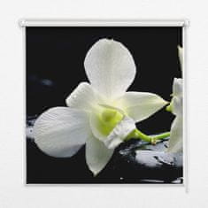 COLORAY.HU Ablak roló Orchideák Sötétítő redőny (gumi bevonattal) 100x140 cm