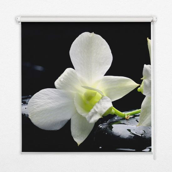 COLORAY.HU Ablak roló Orchideák Sötétítő redőny (gumi bevonattal)