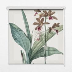 COLORAY.HU Árnyékoló ablakra Virág Redőny fényerő 100x140 cm