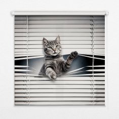 COLORAY.HU Árnyékoló ablakra Macska Sötétítő redőny (gumi bevonattal) 150x240 cm