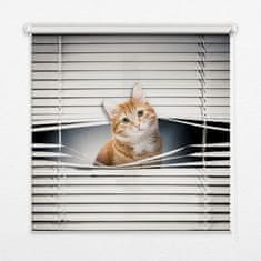 COLORAY.HU Árnyékoló ablakra Vörös macska Sötétítő redőny (gumi bevonattal) 50x50 cm