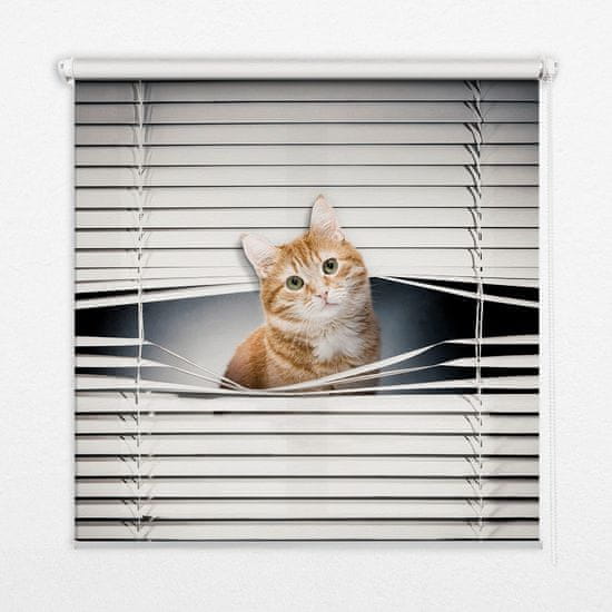 COLORAY.HU Árnyékoló ablakra Vörös macska Sötétítő redőny (gumi bevonattal)