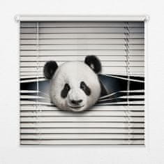 COLORAY.HU Roló ablakra Panda Redőny fényerő 60x140 cm