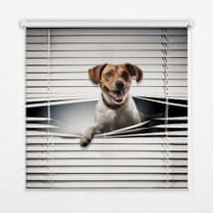 COLORAY.HU Roló ablakra Kutya Sötétítő redőny (gumi bevonattal) 150x140 cm