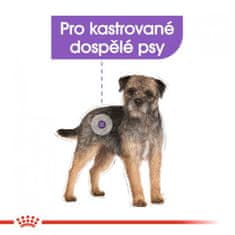 Royal Canin - Canine Mini sterilizált 1 kg