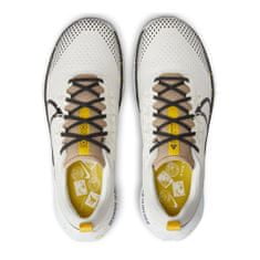 Nike Cipők futás bézs 44.5 EU DJ6158100