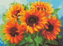 Aga Obraz malowanie po numerach 50x40cm słoneczniki