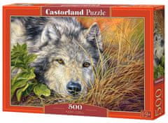Castorland Puzzle Pure Soul 500 darab