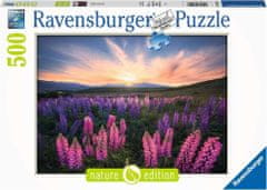 Ravensburger Wolf Beaver Puzzle 500 darabos puzzle
