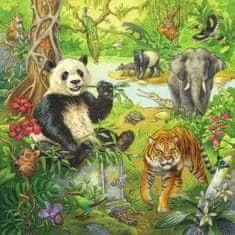 Ravensburger Puzzle Dzsungel állatok 3x49 darab
