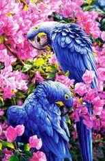 Norimpex Diamond festmény Kék papagájok 30x40cm